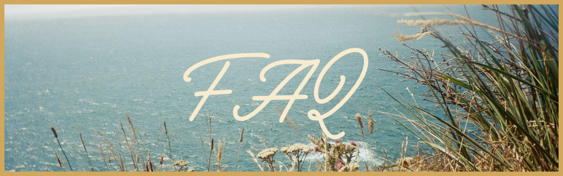 We're Getting Hitched