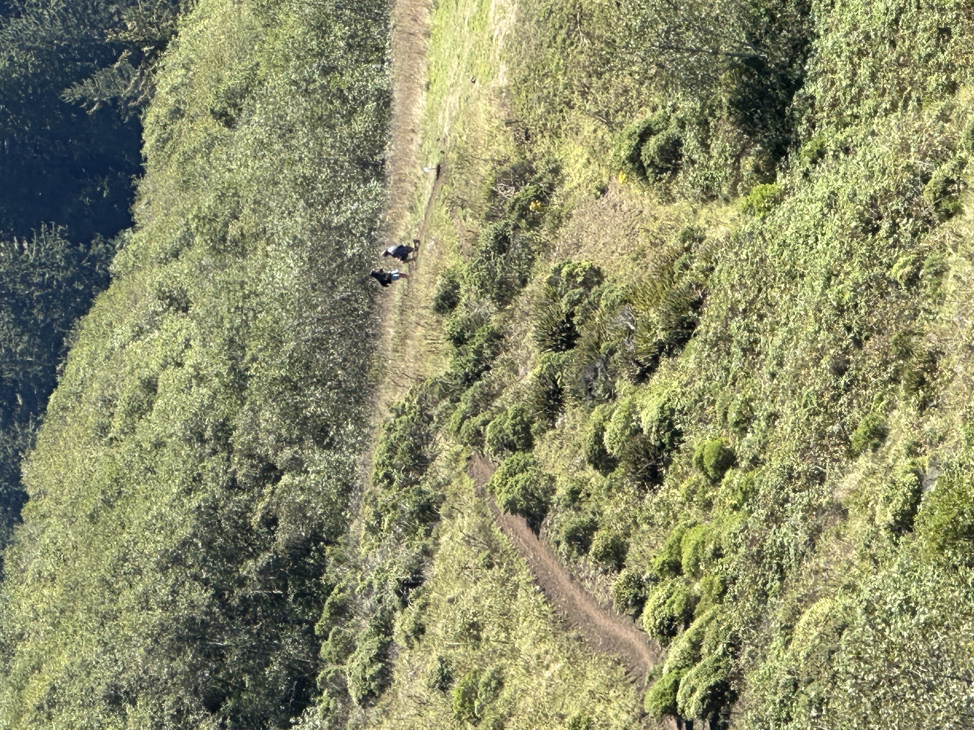 The proposal - Photo 4